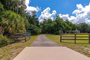 14705 Mossy Hammock Ln, Myakka City, FL 34251 - Photo 26