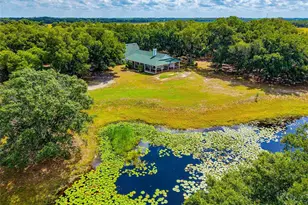 14705 Mossy Hammock Ln, Myakka City, FL 34251 - Photo 66
