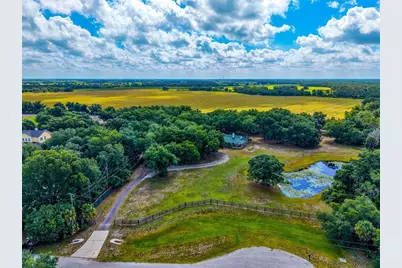 14705 Mossy Hammock Lane, Myakka City, FL 34251 - Photo 4
