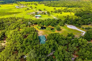 14705 Mossy Hammock Ln, Myakka City, FL 34251 - Photo 2