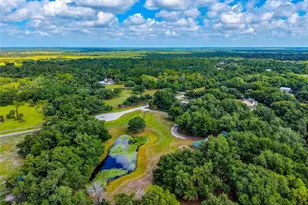 14705 Mossy Hammock Ln, Myakka City, FL 34251 - Photo 72