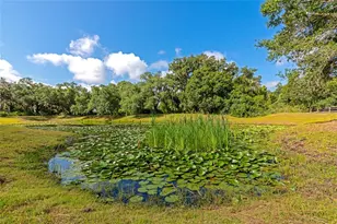 14705 Mossy Hammock Ln, Myakka City, FL 34251 - Photo 44