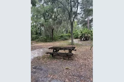 14705 Mossy Hammock Lane, Myakka City, FL 34251 - Photo 46