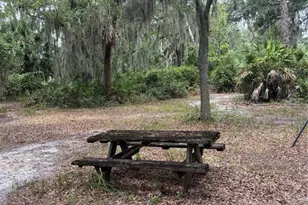 14705 Mossy Hammock Ln, Myakka City, FL 34251 - Photo 46