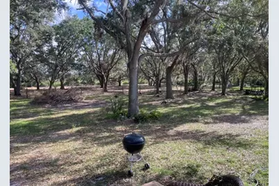 14705 Mossy Hammock Lane, Myakka City, FL 34251 - Photo 42