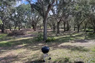 14705 Mossy Hammock Ln, Myakka City, FL 34251 - Photo 42