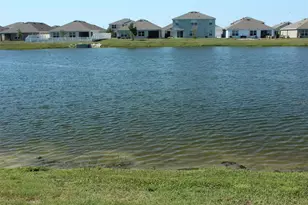 810 Will Scarlett Ave, Ruskin, FL 33570 - Photo 44