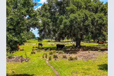 3030 N Nursery Road, Zolfo Springs, FL 33890 - Photo 6