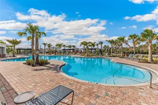 5432 Silver Moonlight Dr, Palmetto, FL 34221 - Photo 40