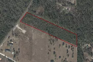 River Rd, Live Oak, FL 32060 - Photo 1