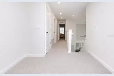 2120 Laceflower Drive, Brandon, FL 33510 - Photo 48