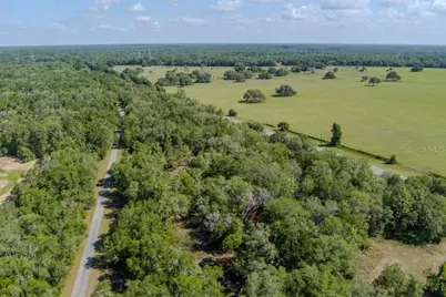 6350 N Florida Avenue, Hernando, FL 34442 - Photo 2