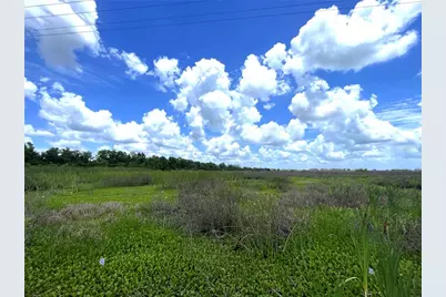 Wauchula Road, Myakka City, FL 34251 - Photo 6