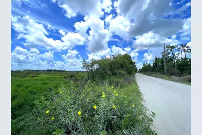 Wauchula Road, Myakka City, FL 34251 - Photo 4