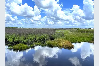 Wauchula Road, Myakka City, FL 34251 - Photo 1