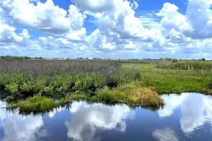 Wauchula Rd, Myakka City, FL 34251 - Photo 1