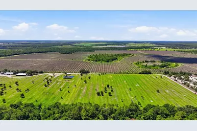6204 Juel Gill Road, Myakka City, FL 34251 - Photo 50
