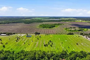 6204 Juel Gill Rd, Myakka City, FL 34251 - Photo 50