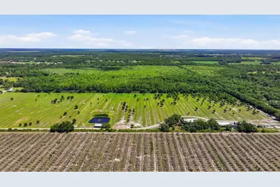 6204 Juel Gill Road, Myakka City, FL 34251 - Photo 48