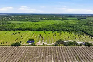 6204 Juel Gill Rd, Myakka City, FL 34251 - Photo 48