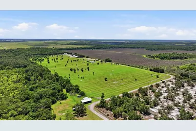 6204 Juel Gill Road, Myakka City, FL 34251 - Photo 54