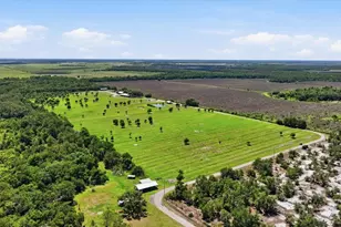 6204 Juel Gill Rd, Myakka City, FL 34251 - Photo 54