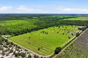 6204 Juel Gill Rd, Myakka City, FL 34251 - Photo 52