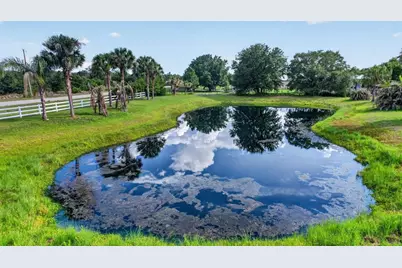 1210 408th Court E, Myakka City, FL 34251 - Photo 72