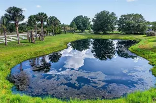 1210 408th Ct E, Myakka City, FL 34251 - Photo 72