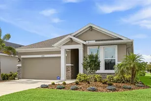 11805 Catawba Cv, Parrish, FL 34219 - Photo 1