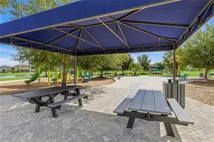 11805 Catawba Cv, Parrish, FL 34219 - Photo 58