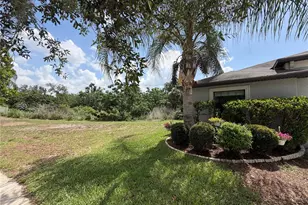 10130 Rose Petal Pl, Riverview, FL 33578 - Photo 10