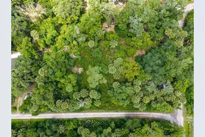 Swamp Lane, Geneva, FL 32732 - Photo 10