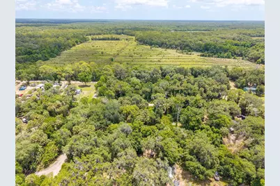 Swamp Lane, Geneva, FL 32732 - Photo 6