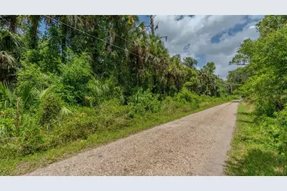 Swamp Lane, Geneva, FL 32732 - Photo 14