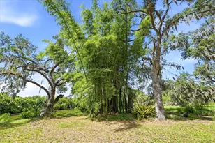 5850 Vanderipe Rd, Sarasota, FL 34241 - Photo 58