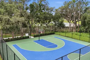 14026 Ginnie Spgs Wy, Parrish, FL 34219 - Photo 70