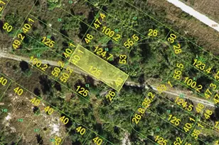 1545 Wampum Ct, Punta Gorda, FL 33983 - Photo 1