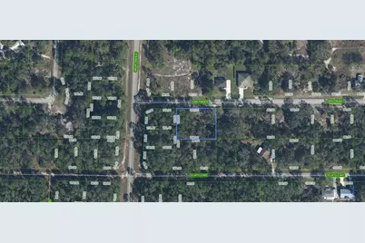 3154 Carlton Avenue, Lake Placid, FL 33852 - Photo 1