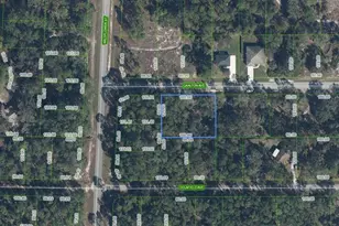 3154 Carlton Ave, Lake Placid, FL 33852 - Photo 1