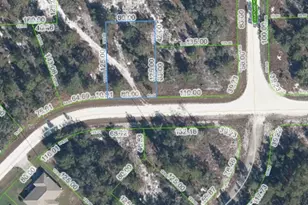 3324 Gossamer Ave, Lake Placid, FL 33852 - Photo 1
