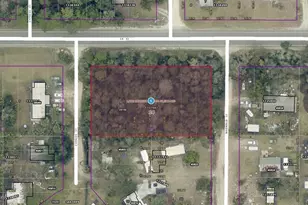 28108 Co Rd 42, Paisley, FL 32767 - Photo 1