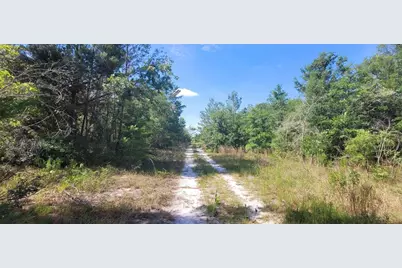 Union Way, Lee, FL 32059 - Photo 4