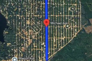 Michael Ave, Interlachen, FL 32148 - Photo 1