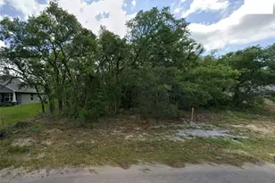 14 Nemesia Ct E, Homosassa, FL 34446 - Photo 1