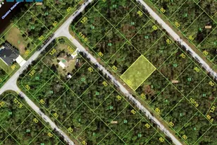 12498 Ranch Ave, Port Charlotte, FL 33953 - Photo 1