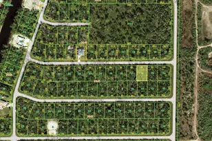 14239 Darwin Ave, Port Charlotte, FL 33953 - Photo 1