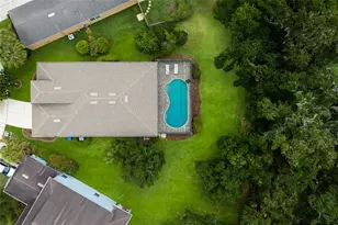 17463 New Cross Cir, Lithia, FL 33547 - Photo 46