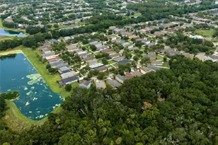 17463 New Cross Cir, Lithia, FL 33547 - Photo 48