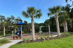 10013 Daybreak Glen, Parrish, FL 34219 - Photo 26